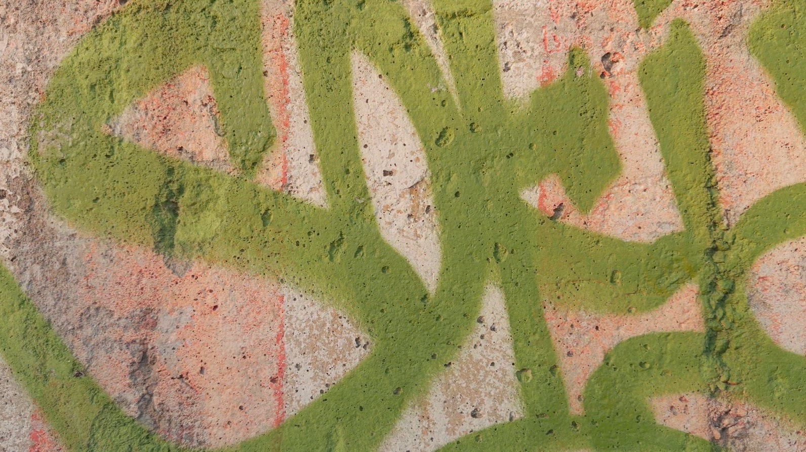 Close-up of colorful graffiti on a textured wall background