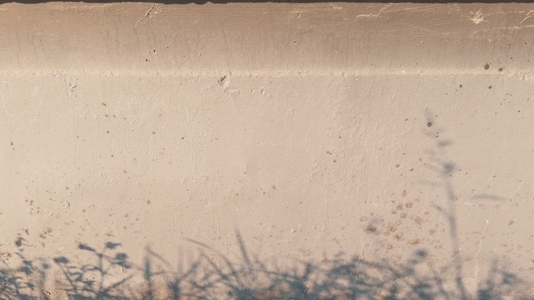 A close up view of a textured wall background with grass