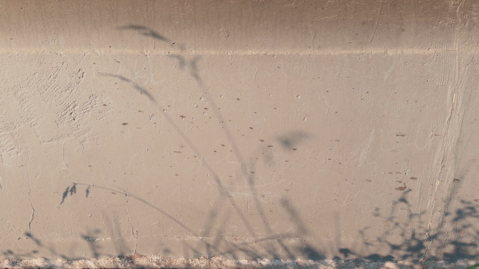 A close-up view of a textured wall background with shadows