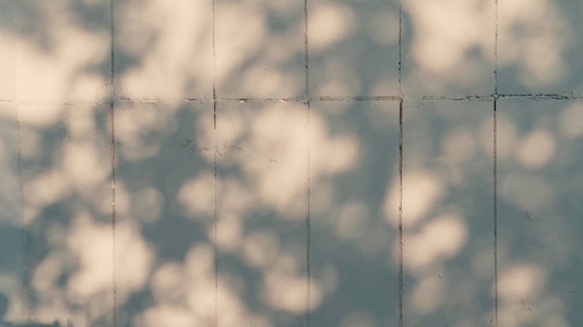 A textured wall background with soft shadows and light patterns