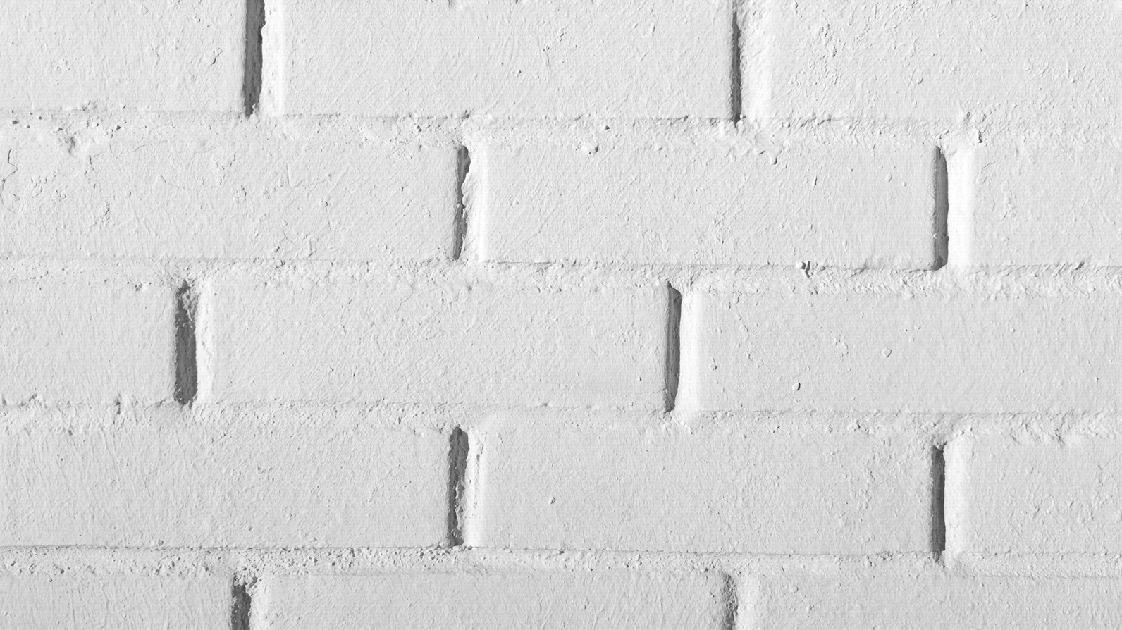 A close-up view of a white brick wall background with a textured