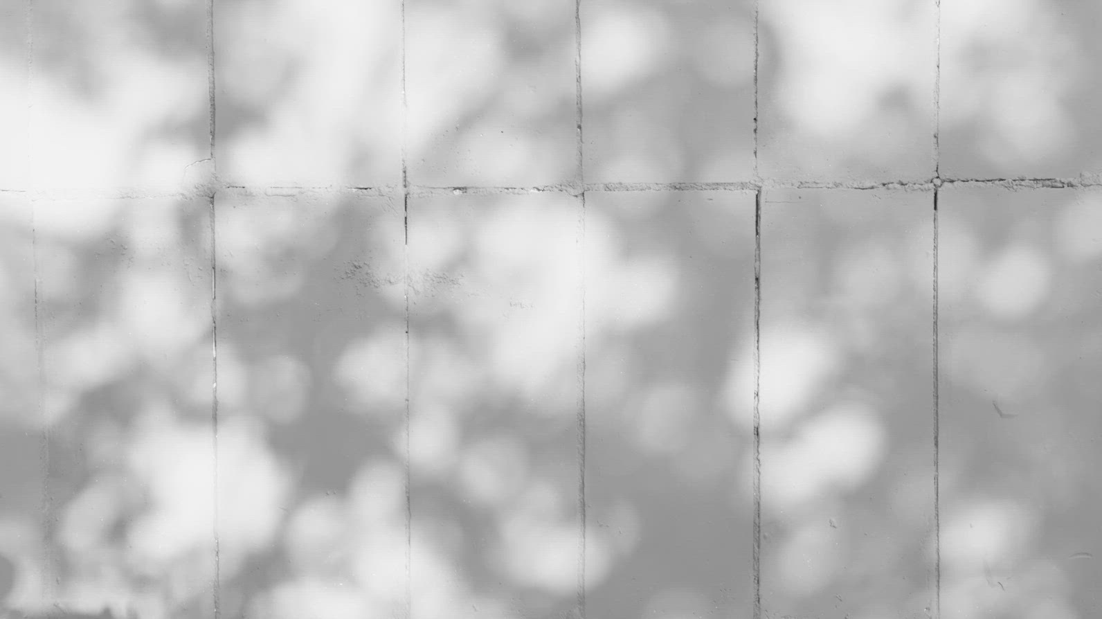 A textured wall background with soft shadows and light patterns