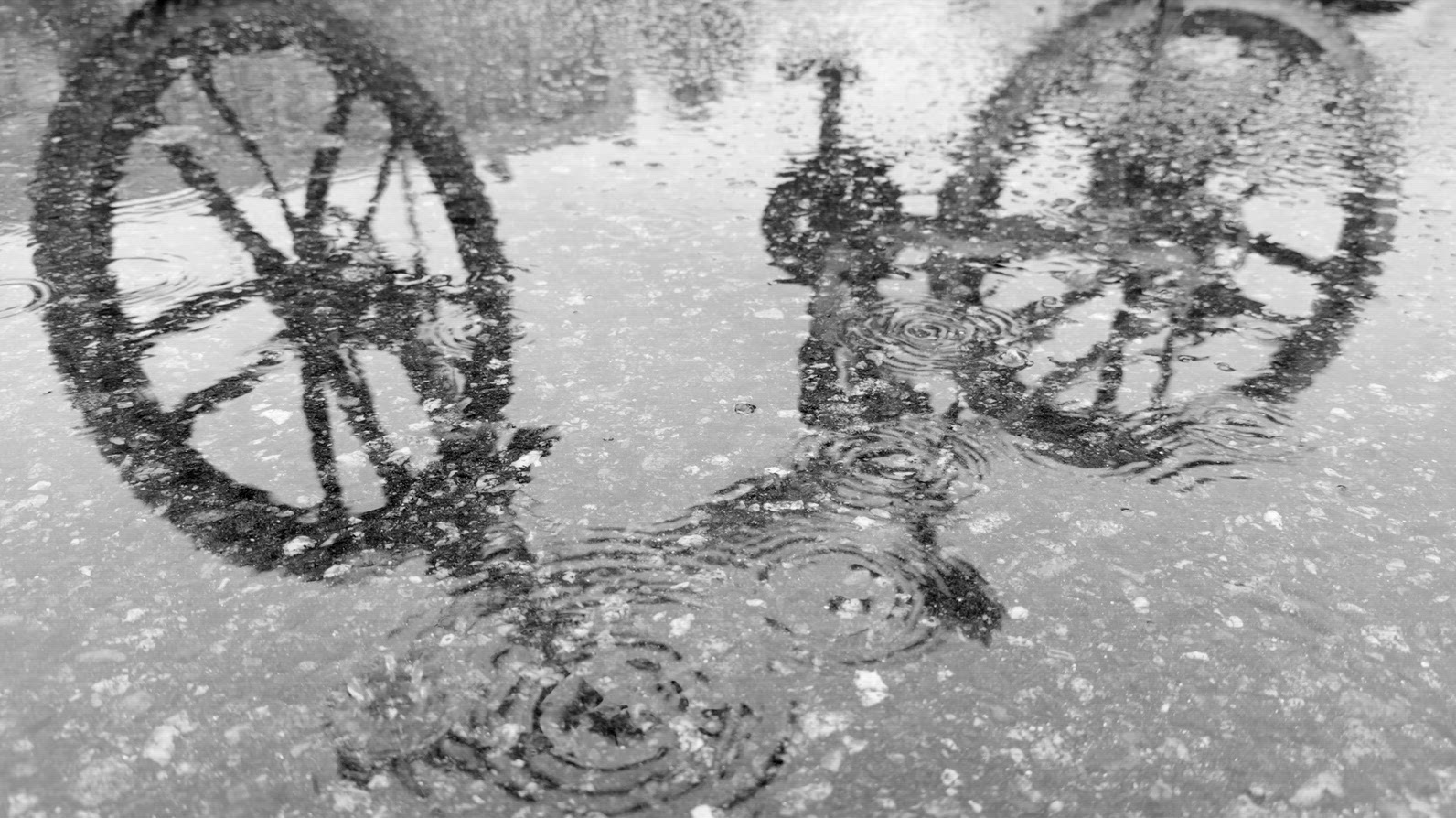Seamless loop bicycle reflected in a puddle on a rainy day
