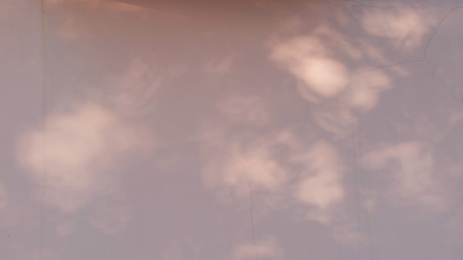 Seamless loop soft shadows on a light-colored wall background