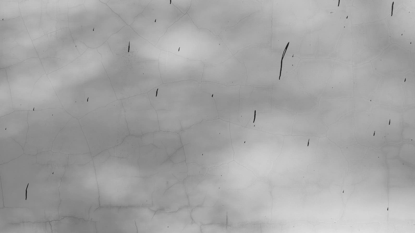 Seamless loop abstract black and white texture with cracks