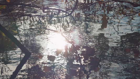 Seamless loop sunlight reflecting on a tranquil water surface