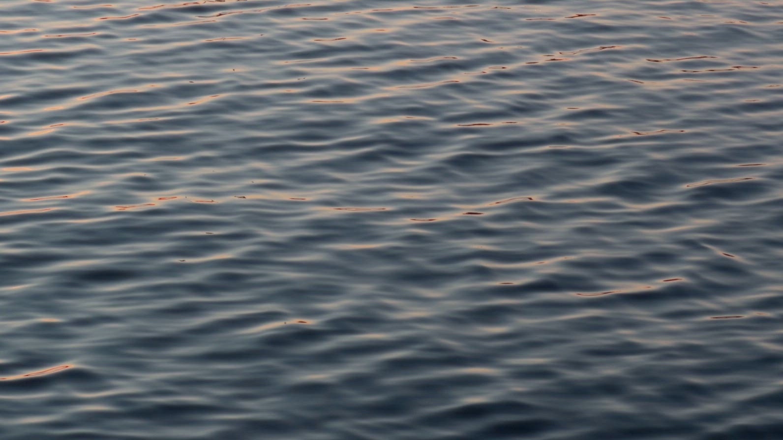 Seamless loop calm water surface with gentle ripples at sunset