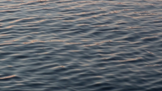 Seamless loop calm water surface with gentle ripples at sunset Seamless loop calm water surface with gentle ripples at sunset
