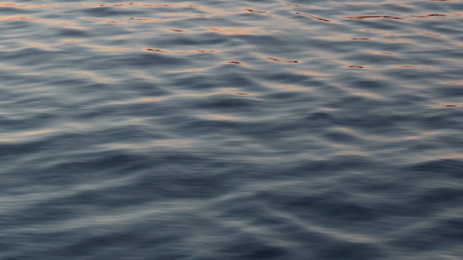 Seamless loop calm water surface with gentle ripples